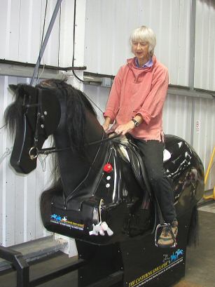 Chigwell Riding Trust for Special Needs