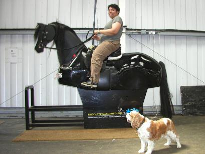 Chigwell Riding Trust for Special Needs