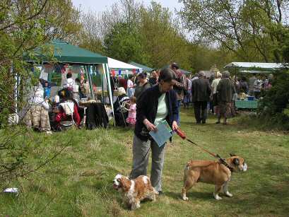 May Fayre at Swaines Green, Epping